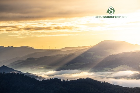 Nebelstimmung im Schwarzwald